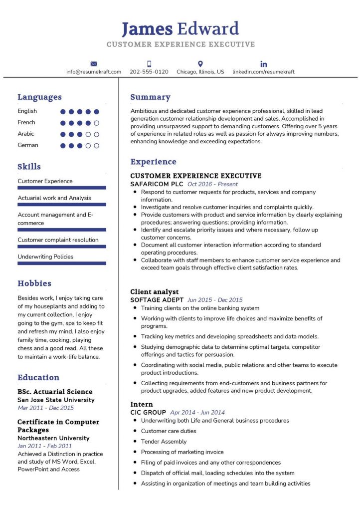 CV Template - Page 14 of 15 in 2024 - ResumeKraft