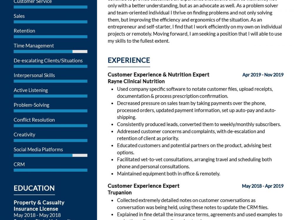 Customer Service Expert CV Template