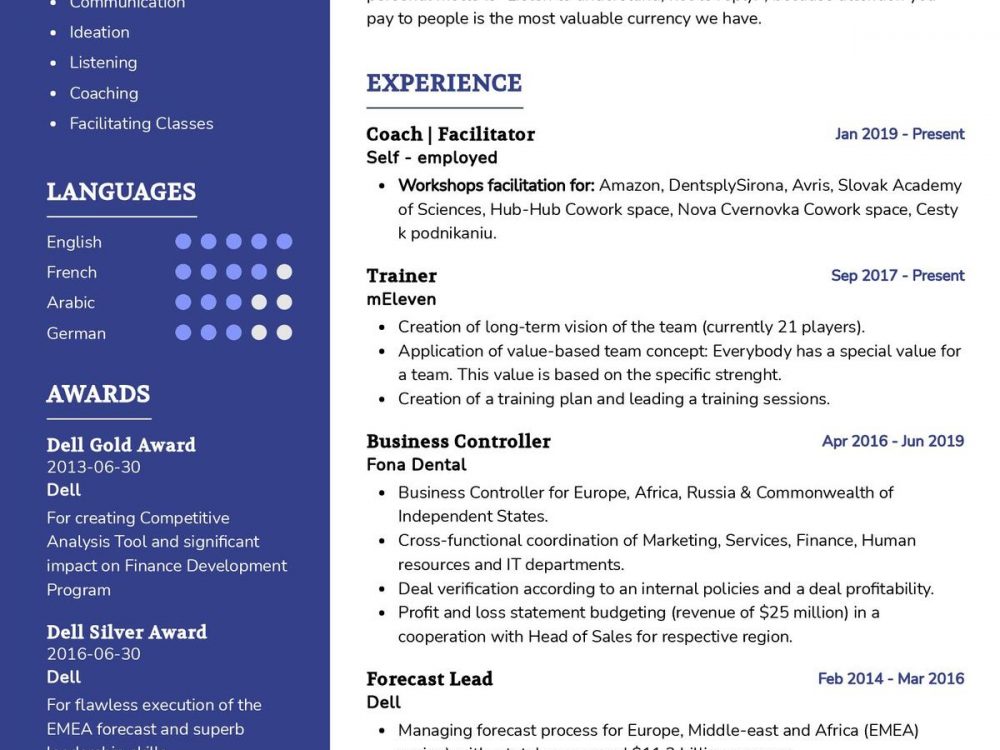 Facilitator CV Template