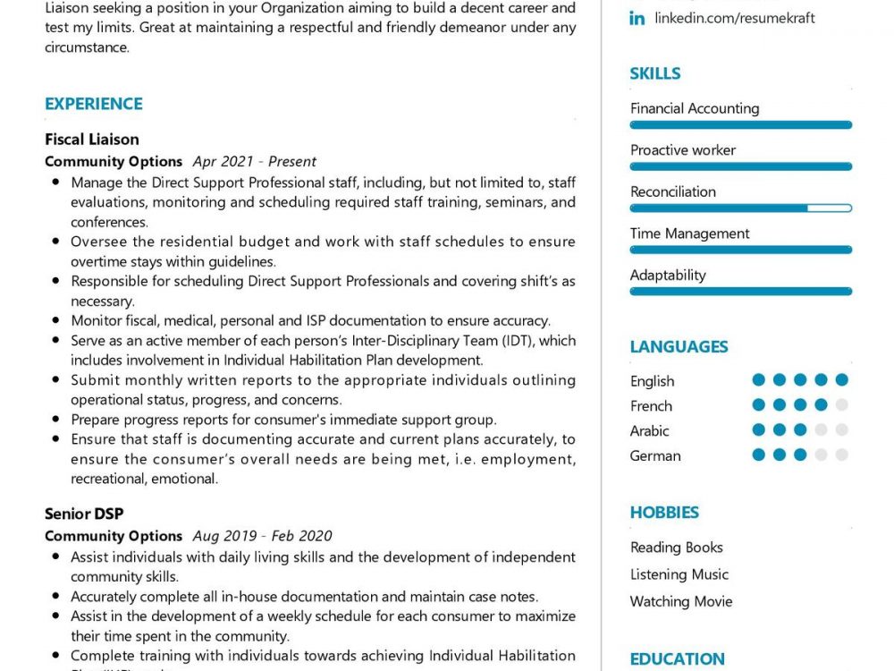 Financial Liaison CV Sample