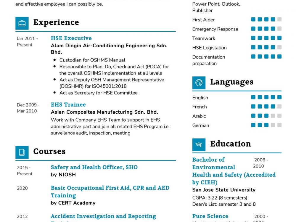 HSE Executive CV Template