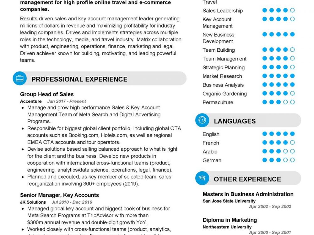 Head of Sales CV Template in 2024 - ResumeKraft