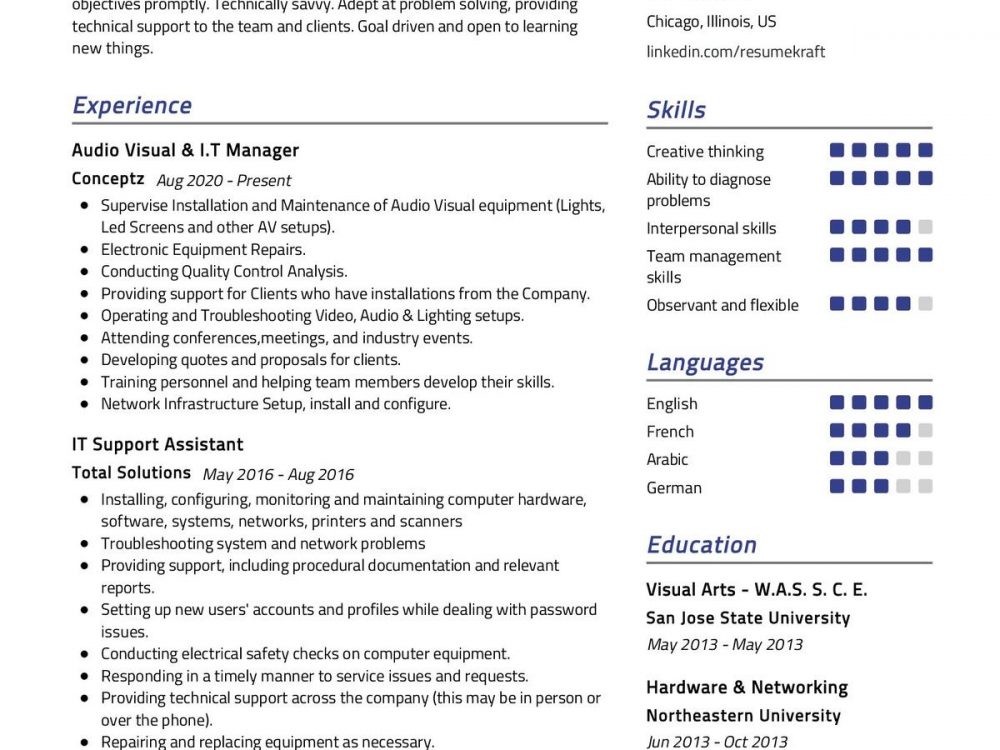 IT Specialist CV Sample in 2024 - ResumeKraft