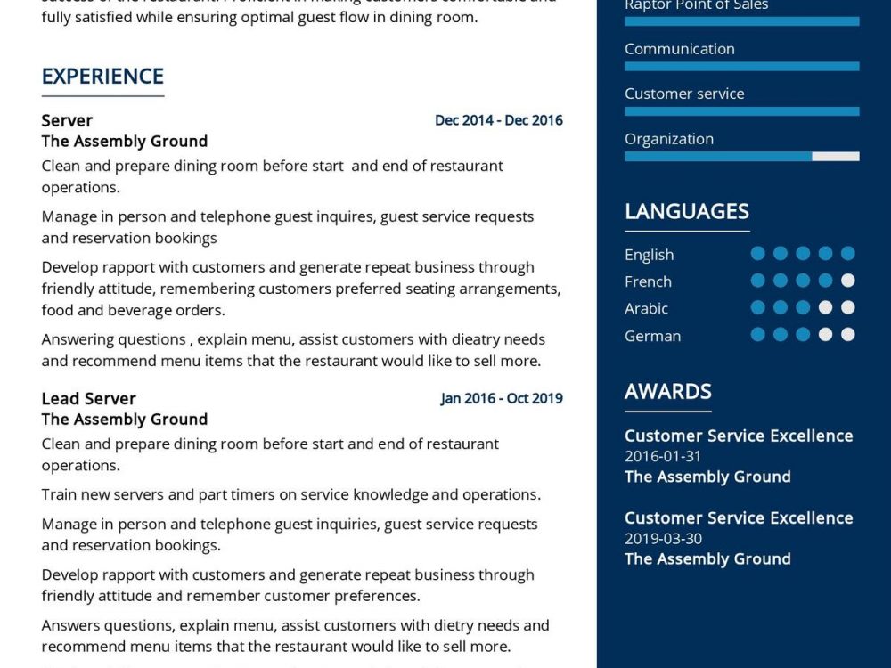 Lead Server CV Template