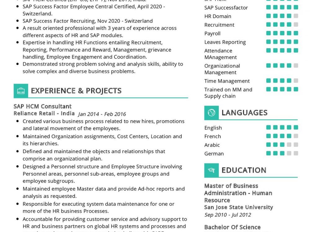 SAP HCM Consultant CV Sample