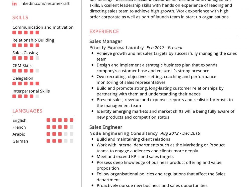 Sales Manager CV Sample