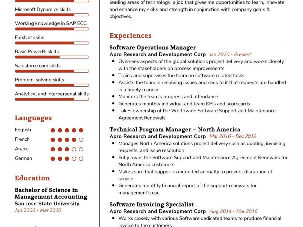 Software Operations Manager CV Sample