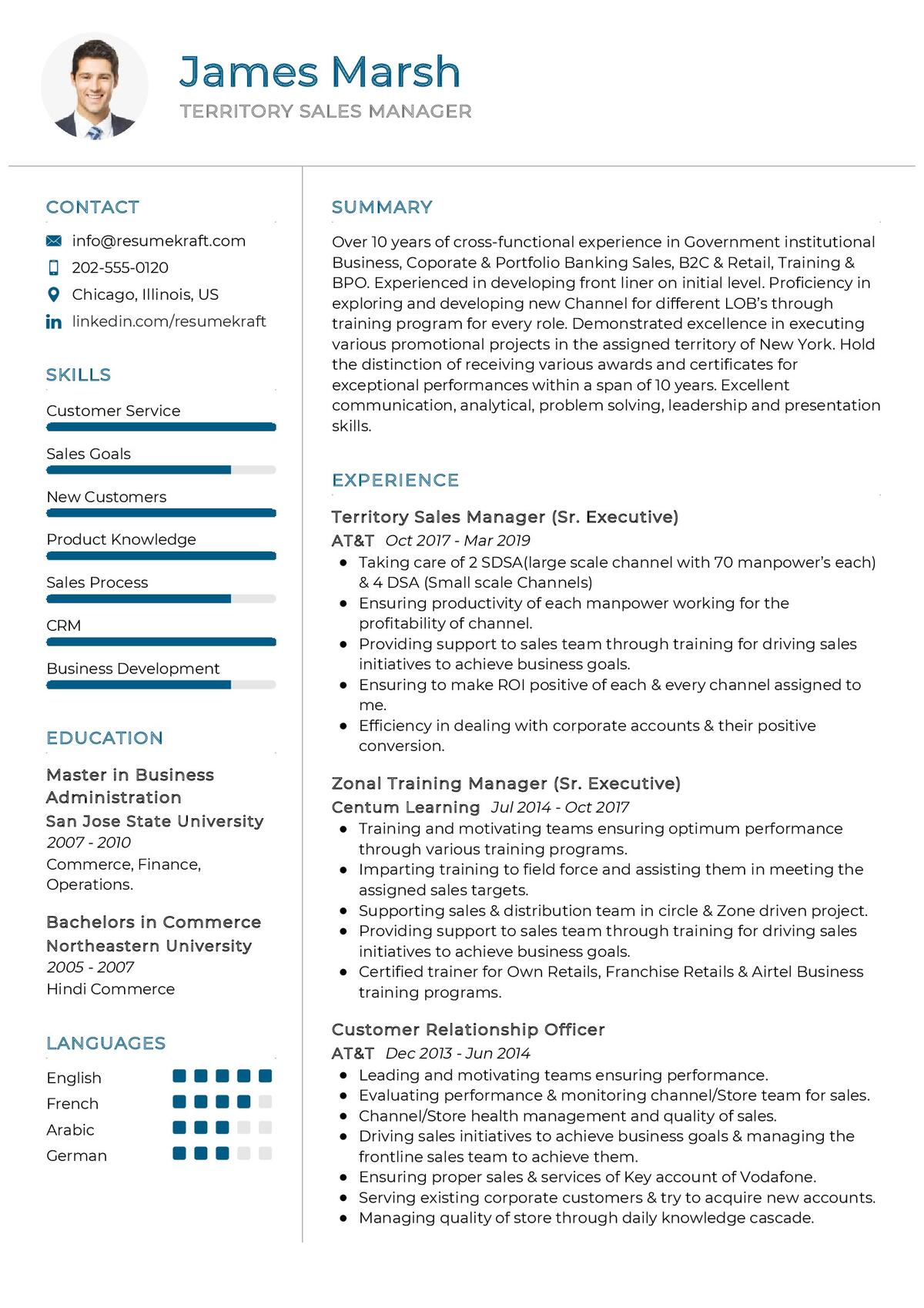 Territory Sales Manager CV Sample in 2024 ResumeKraft