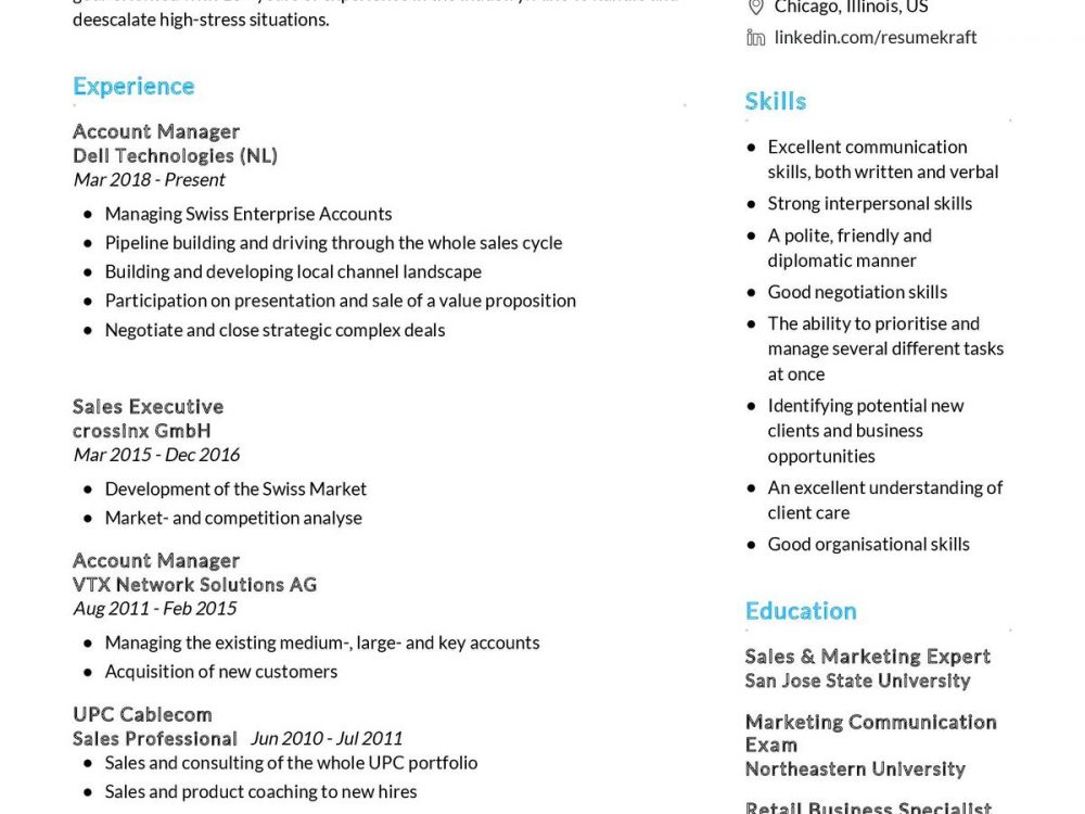 Account Manager CV Sample
