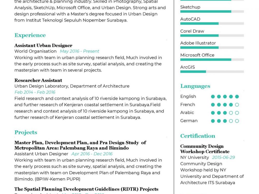 Assistant Urban Designer CV Sample