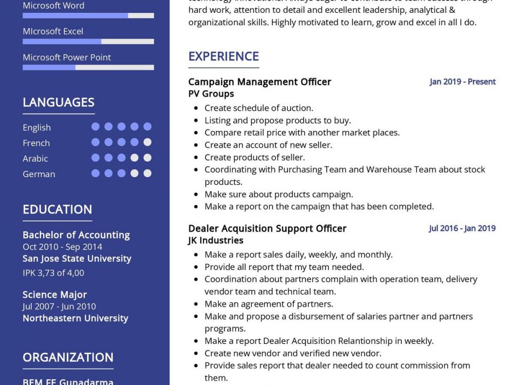 Campaign Management Officer CV Example