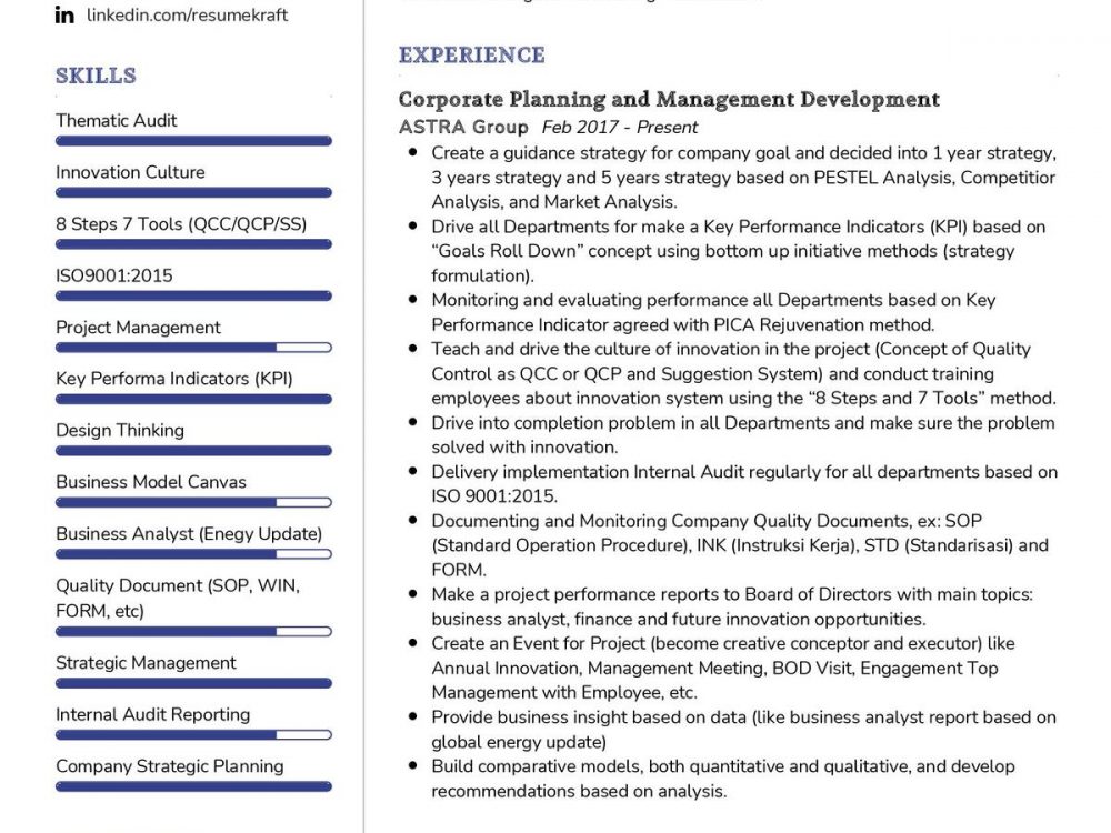 Corporate Planning CV Example