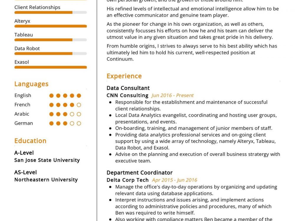 Data Consultant CV Sample
