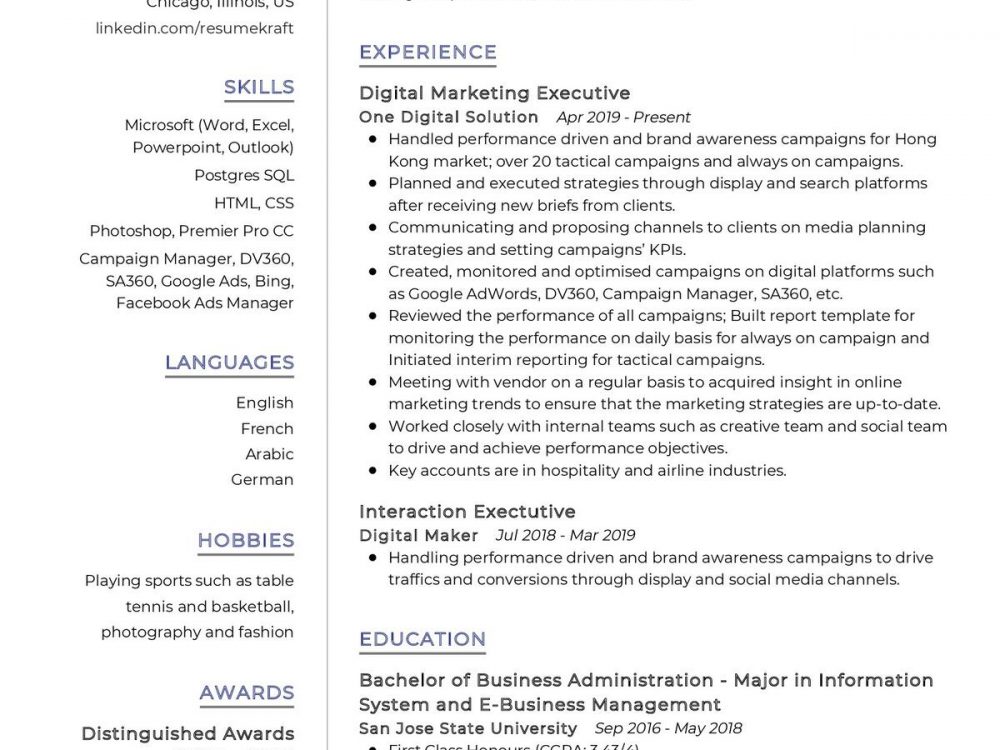 Digital Marketing Executive CV Sample