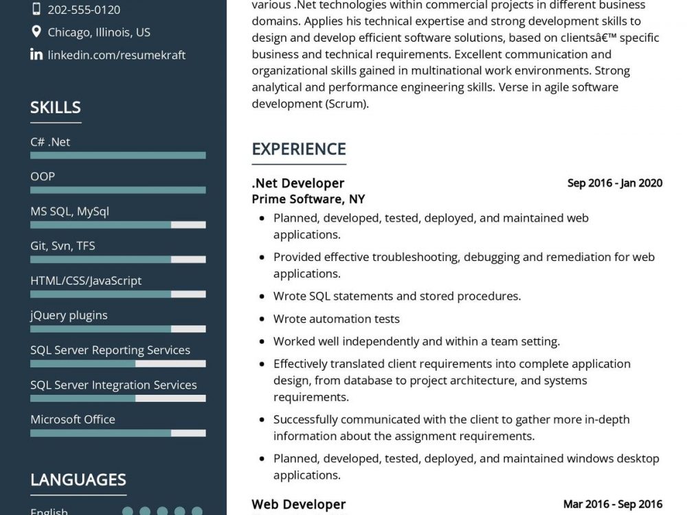 Dot Net Developer CV Sample