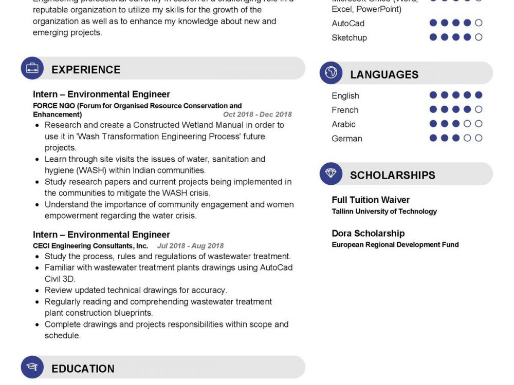 Intern Environmental Engineer CV Sample