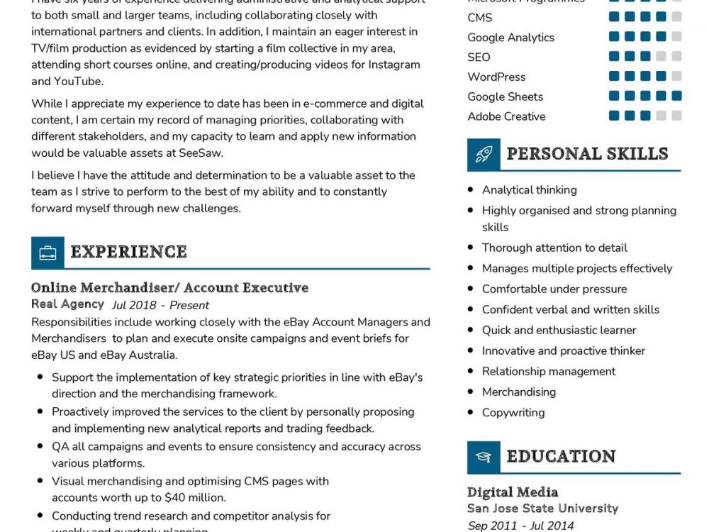 Online Merchandiser CV Example
