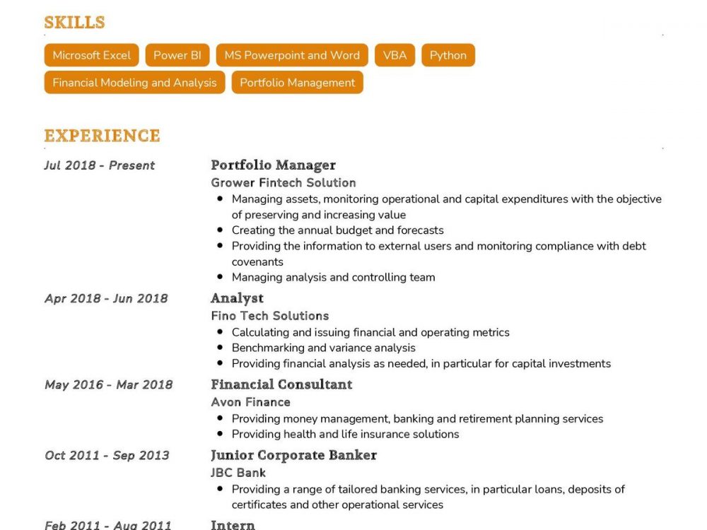 Portfolio Manager CV Sample