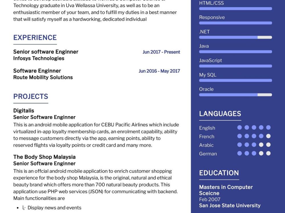 Senior Software Engineer CV Sample