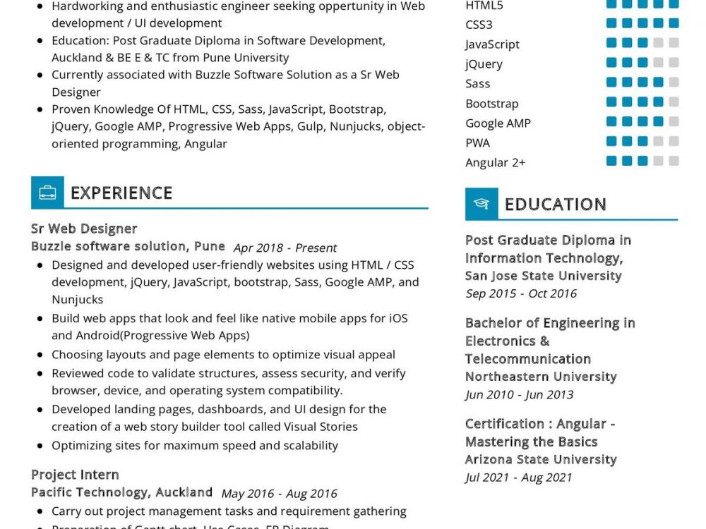 Sr Web Developer CV Sample