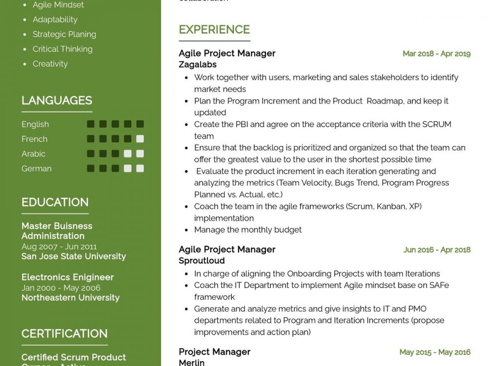 Agile Project Manager Resume Template