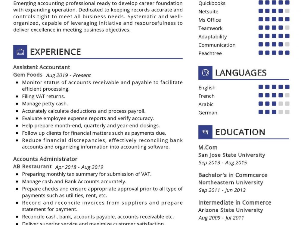 Assistant Accountant Resume Template