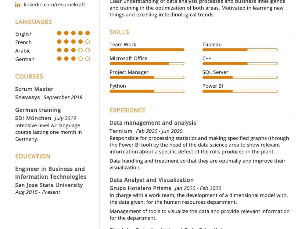 BI Data Analyst CV Sample