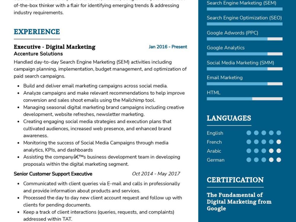 Digital Marketing CV Example