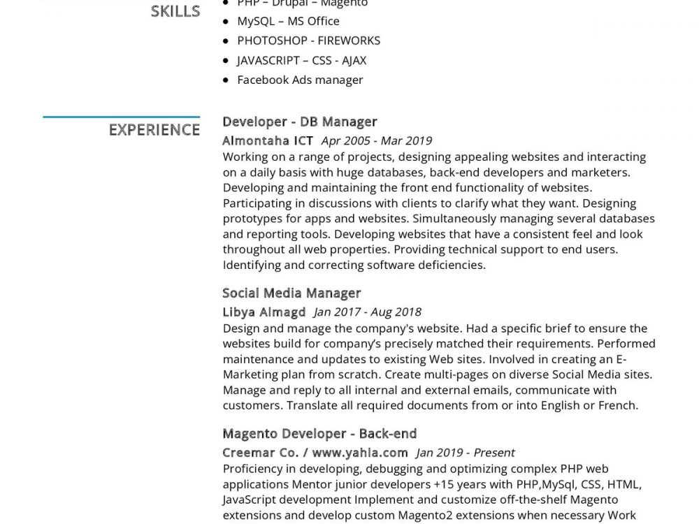 Facebook Ads Manager Resume Template