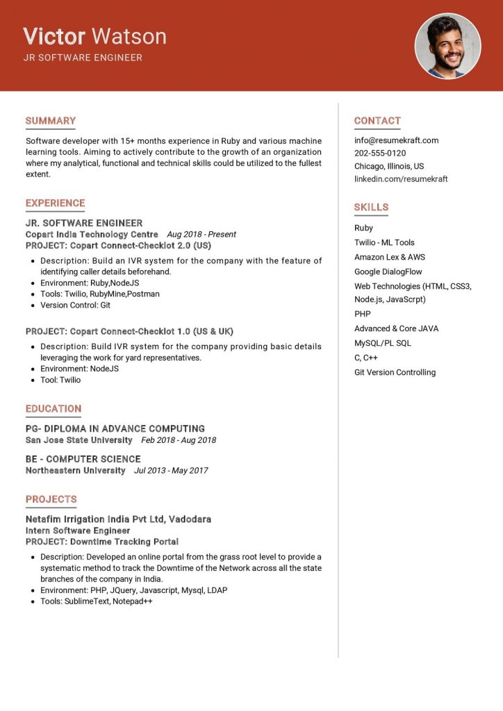 2200+ Professional Resume Samples in 2024 | ResumeKraft