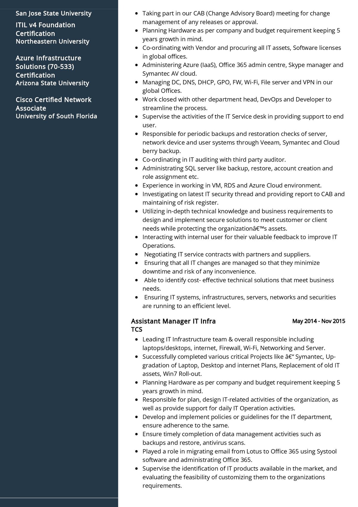 resume summary for support analyst