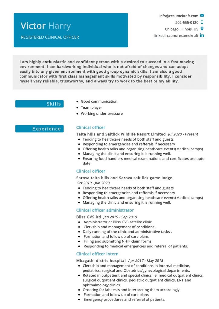 900+ Professional Resume Samples for 2022 | ResumeKraft