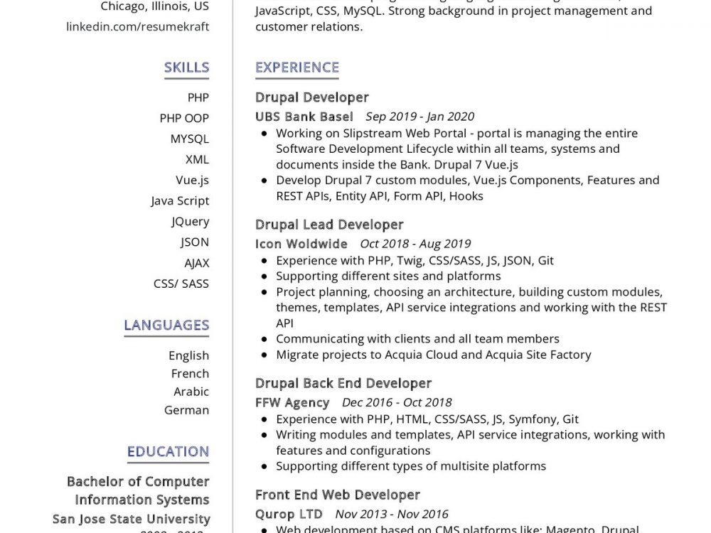Drupal Developer Resume Example