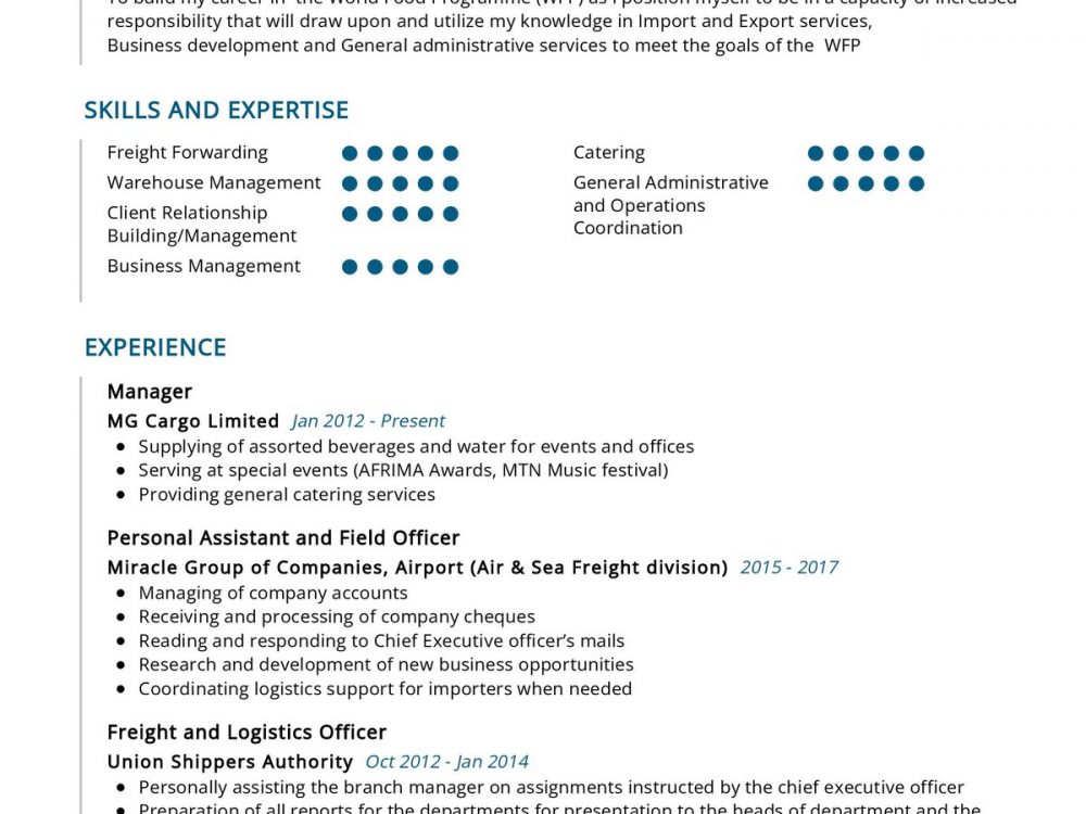 Freight Manager Resume Example