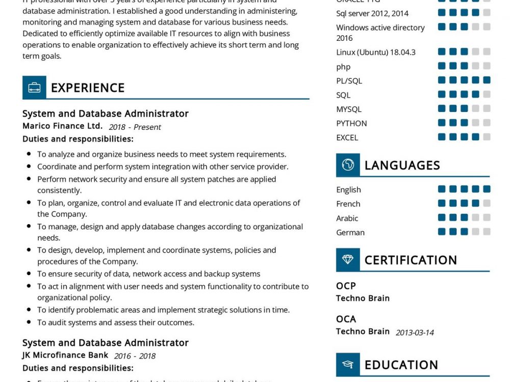 System and Database Administrator CV Sample
