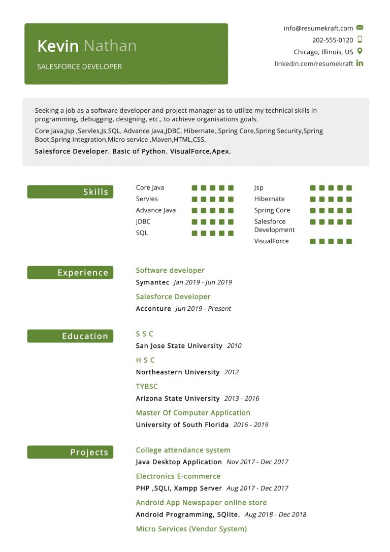 900+ Professional Resume Samples for 2022 | ResumeKraft