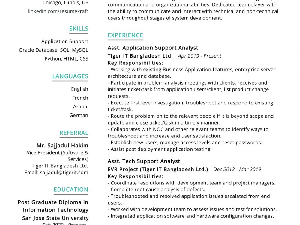 Application Support Analyst Resume Example