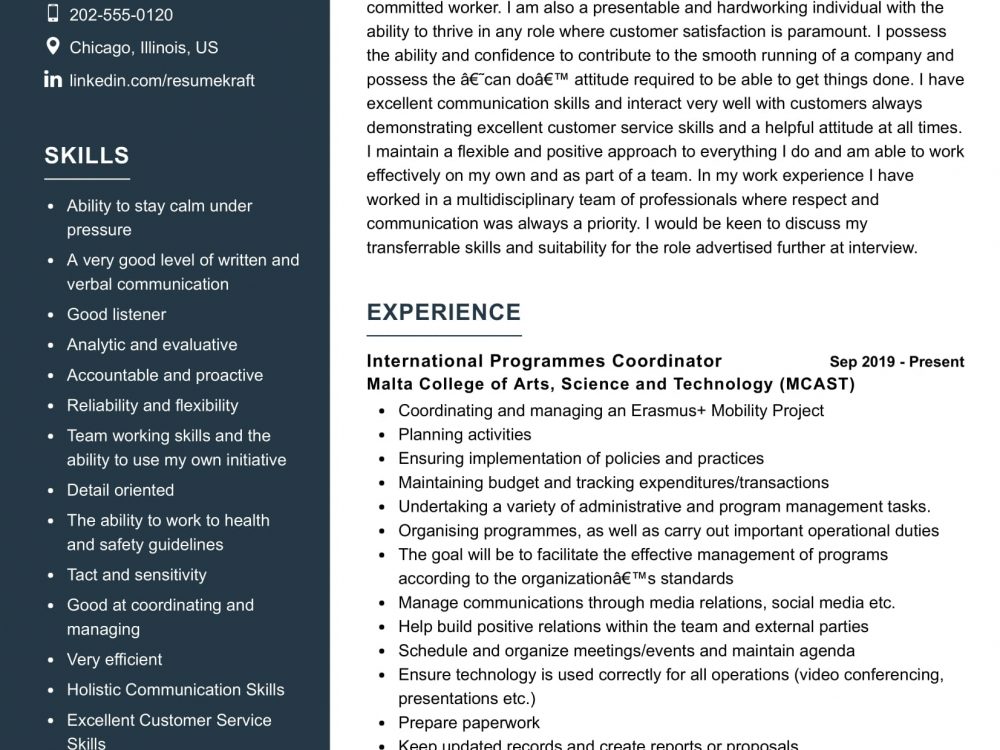 International Programmes Coordinator Resume Sample