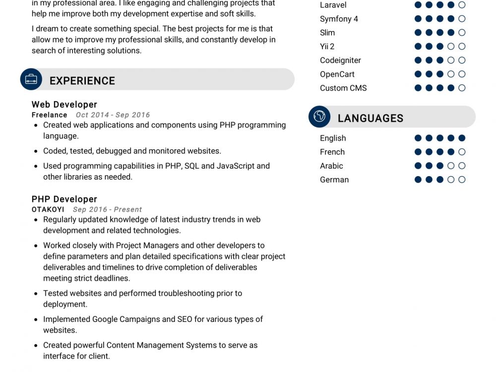PHP Developer Resume Sample