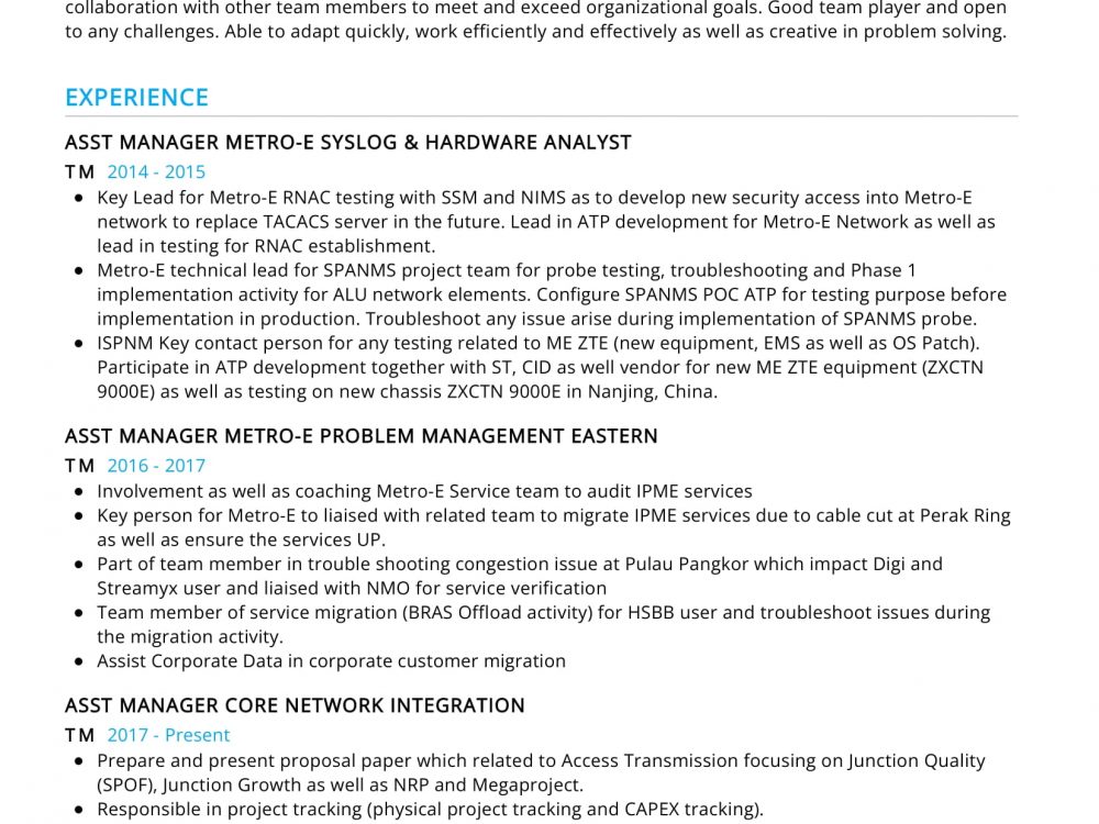 Panning & Manager Core Network Integration Resume