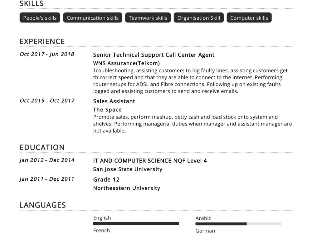 Senior Technical Support Resume Example
