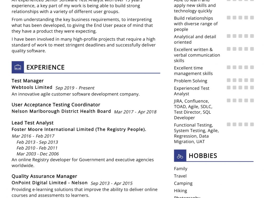 Software Test Manager Resume Example
