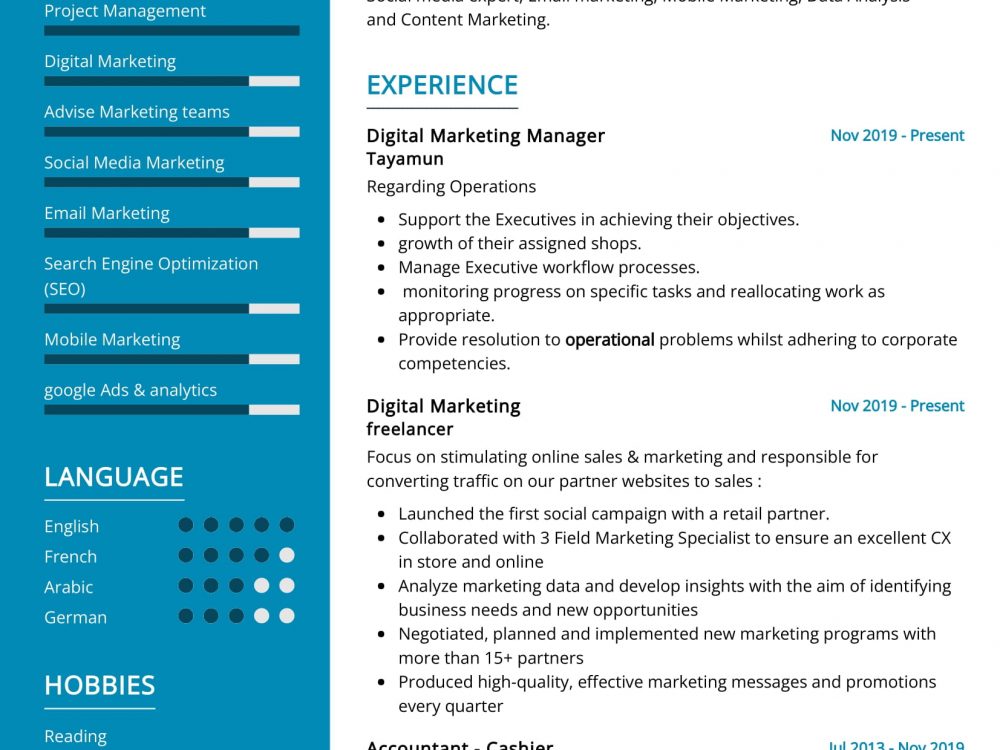 Digital Marketing Manager Resume