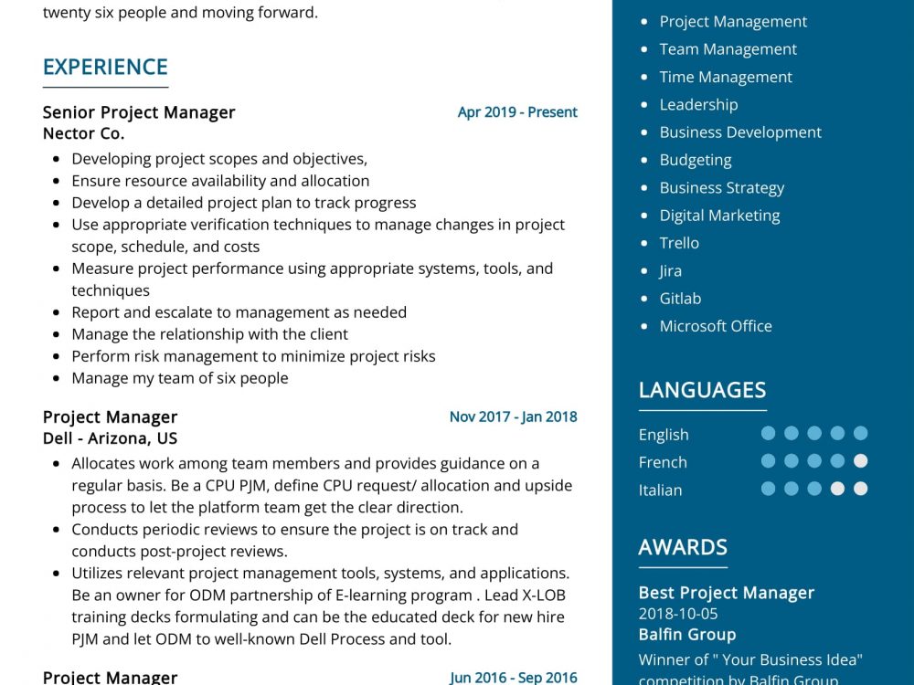 Project Manager Resume Sample
