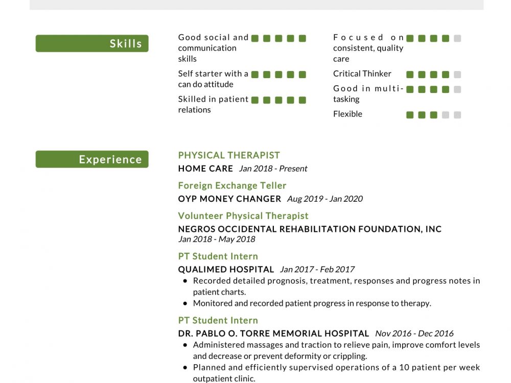 Registered Physical Therapist Resume Sample