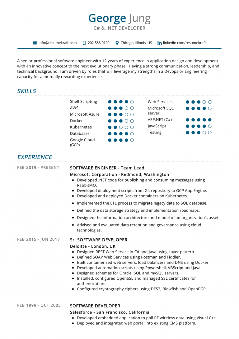 Top 20 .NET Developer Resume Skills 2024 - ResumeKraft