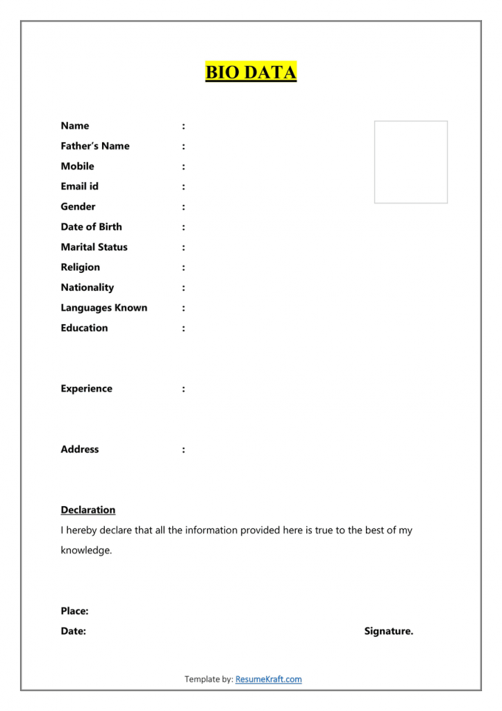 Example of Biodata Form Download Free