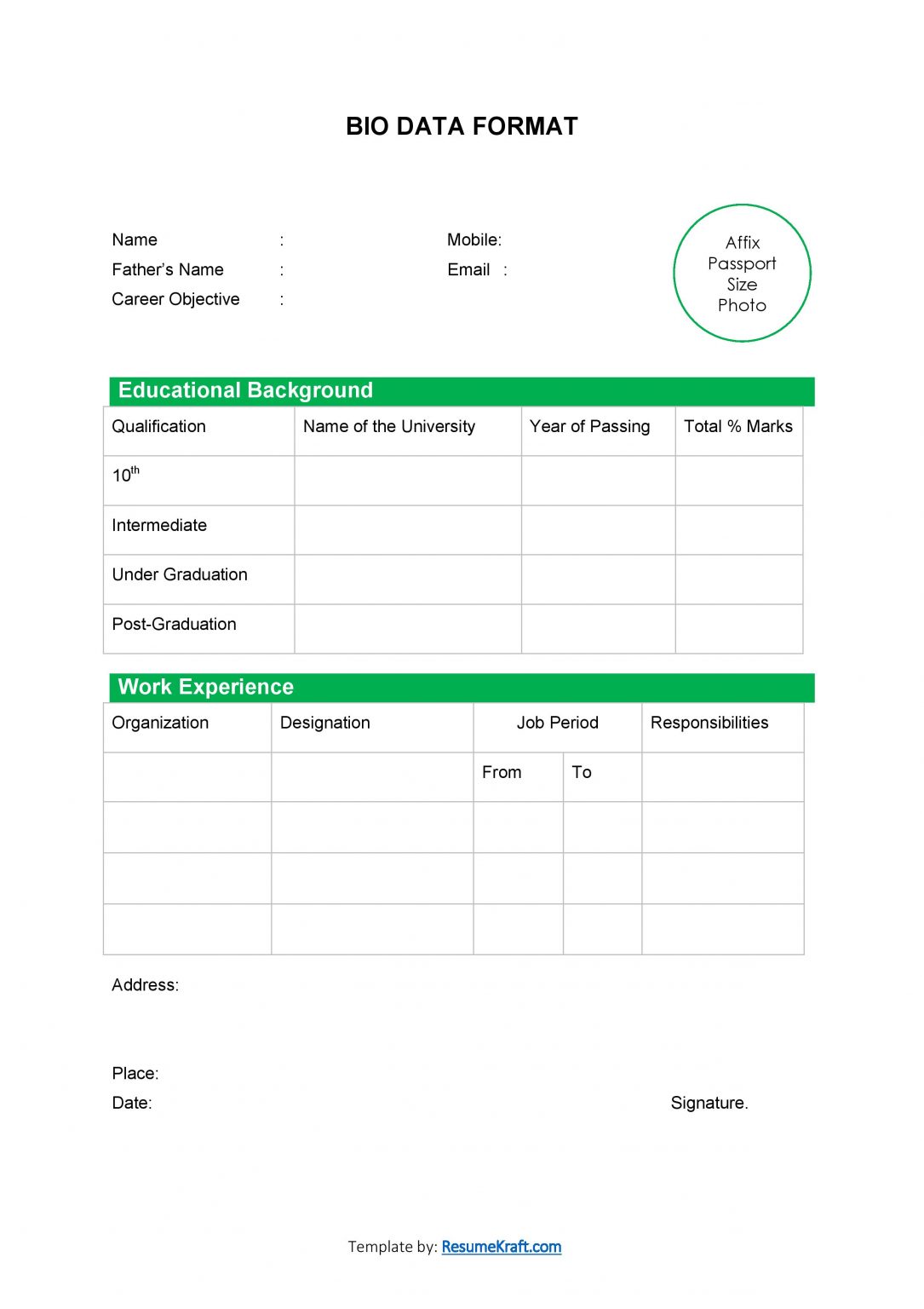 20+ Sample Bio Data Formats for Job PDF & Word Free Download 2024