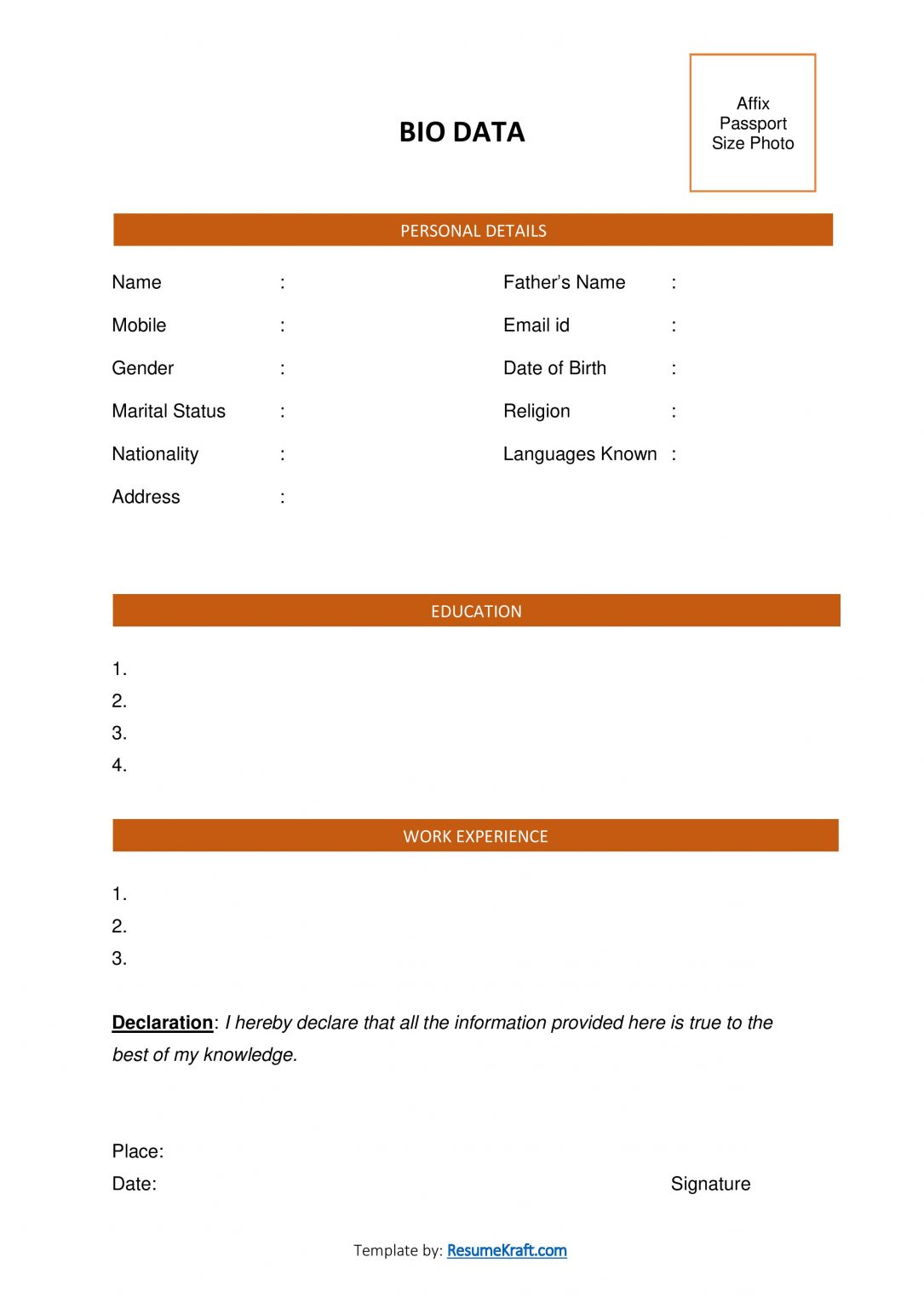 20+ Sample Bio Data Formats for Job PDF & Word Free Download 2023