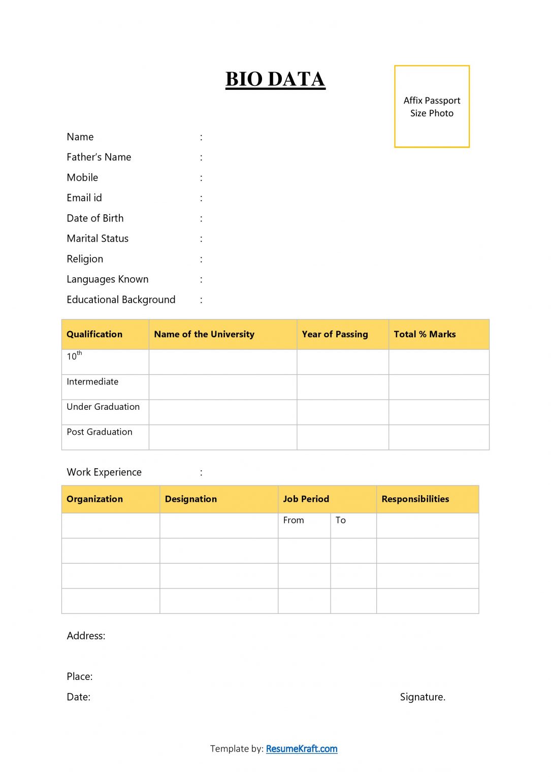 20+ Sample Bio Data Formats for Job PDF & Word Free Download 2024